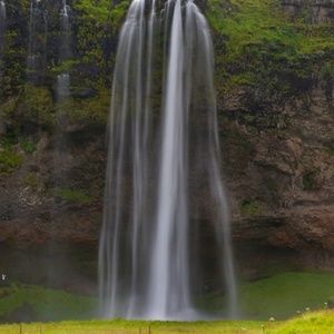 Meet your Posher, Leskar